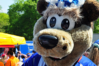 Hertha BSC vs Darmstadt 1:2 vom 07.05.2016